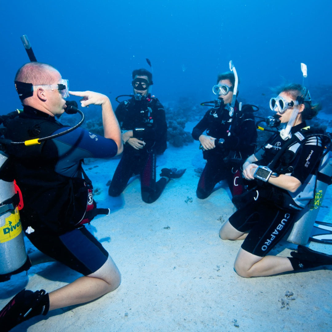 REFRESHER COURSE - 1 DAY/2 DIVES